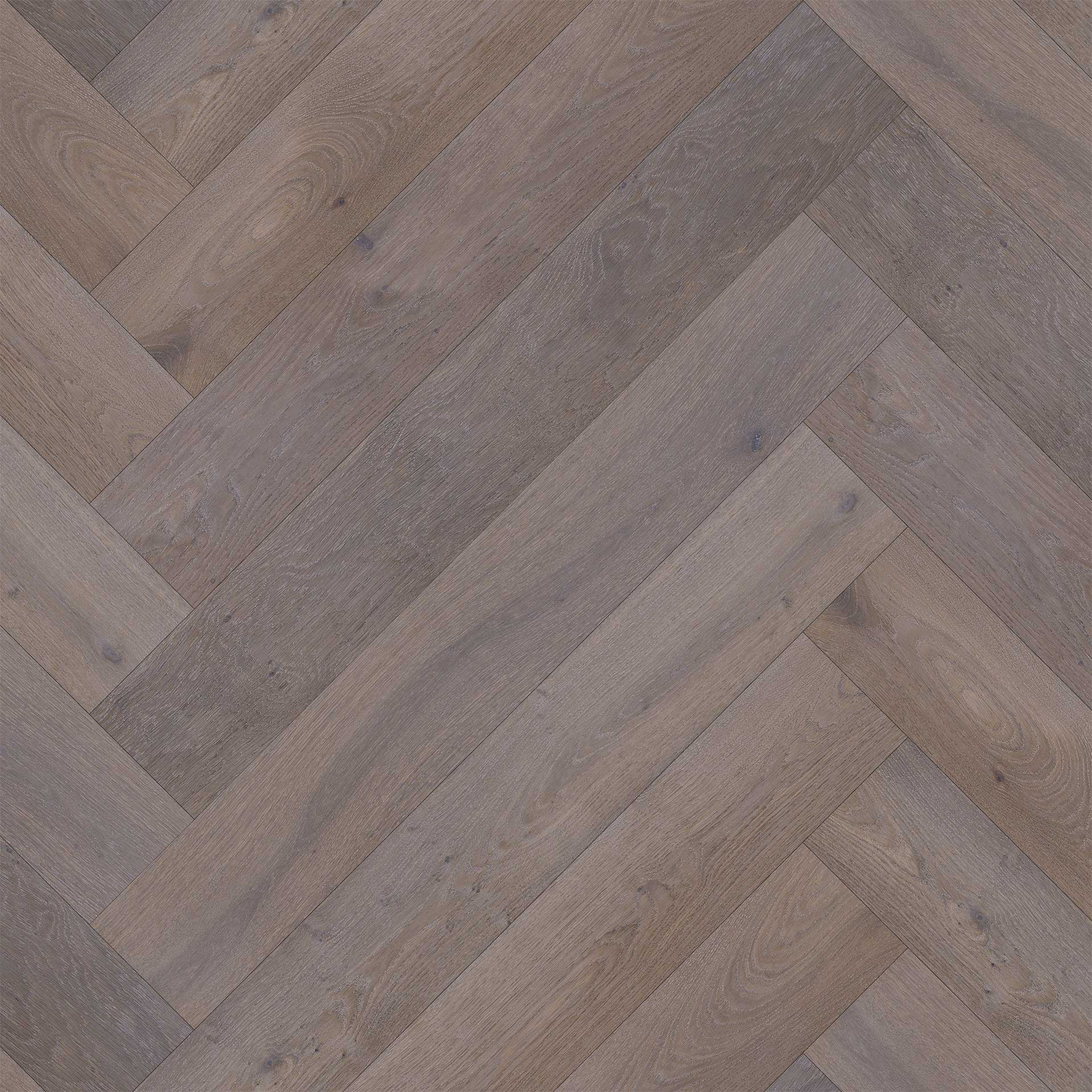 Infused Oak Hardwood Solid And Engineered Flooring